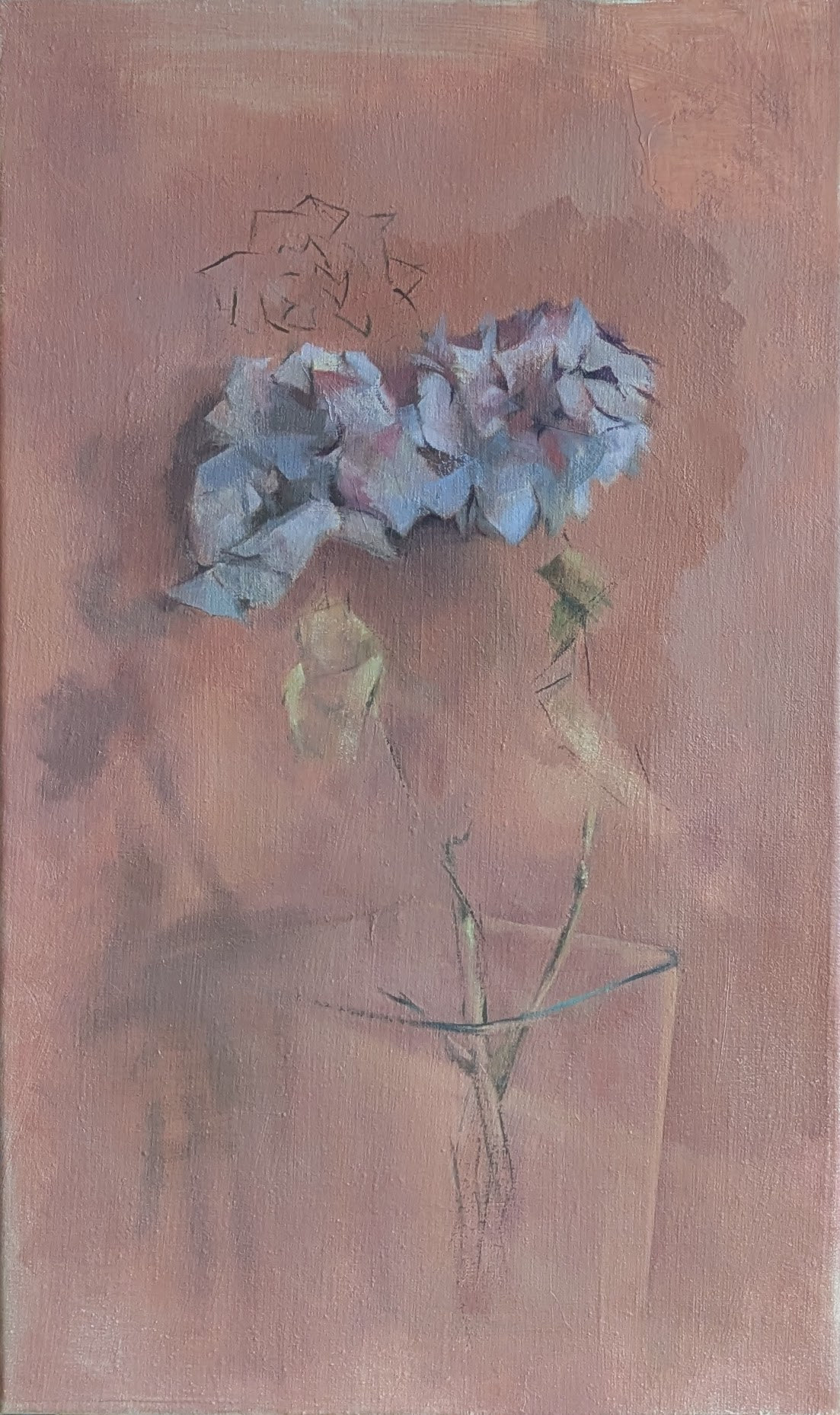 Dry Flowers and a Pink Wall &mdash; Jasmin Harell